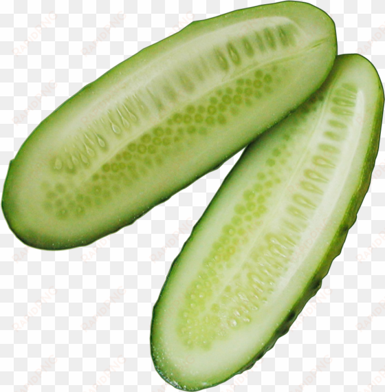 cucumber slice png image - cucumber slice png