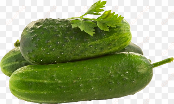 cucumbers png - behaviour driven framework