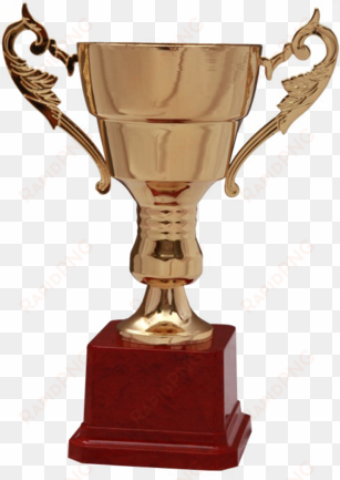 cup trophies - shield prize