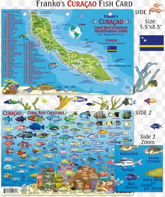 curacao dive map & reef creatures guide franko