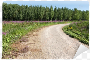 curved dirt road with flowers and forest wall mural - dirt road