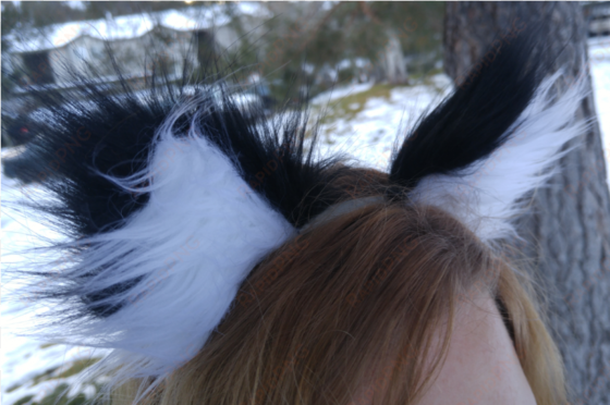 custom cat ears - horse