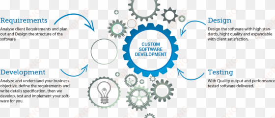 custom software development phases