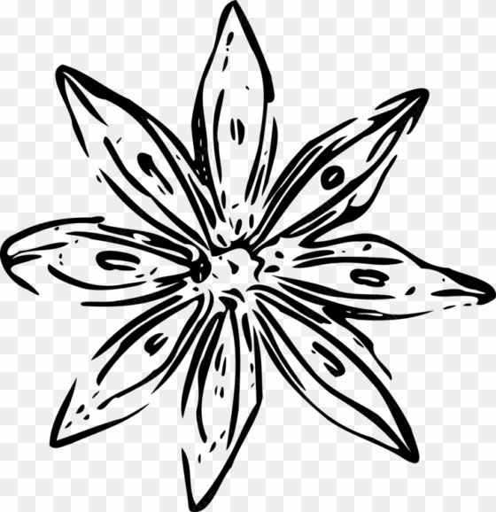 cut flowers drawing computer icons petal - white flower outline png