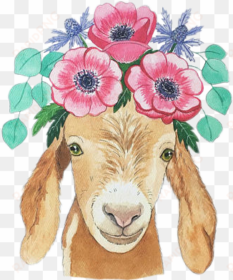 Cute Animals Goat Art Floral Flowers Flowercrown - Watercolor Goats transparent png image