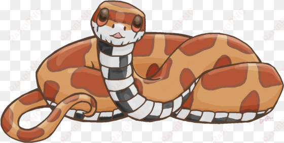 cute corn snake - cute transparent snake