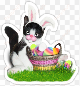 cute kitty stickers with bunny ears holding - cute easter kitty card