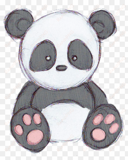 Cute Panda Drawing Tumblr Why Are You Reporting This - Drawings Of Cute Cartoons transparent png image