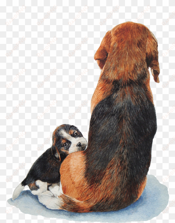 cute puppy beagle and mum - niedlicher welpen-beagle mit karte