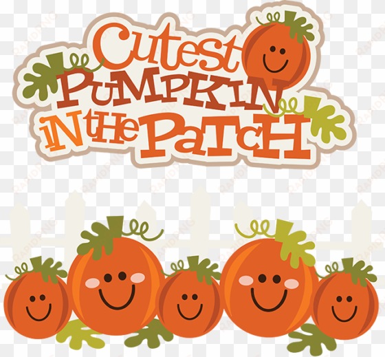 cutest pumpkin in the patch svg pumpkin clipart cute - cute pumpkin clip art free