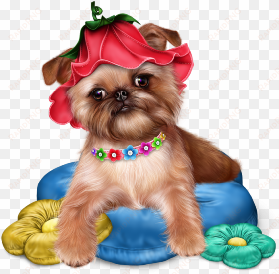 Превью Brussels Griffon Puppy18 Resultaat - Transparent Jaguarwomans Free Png transparent png image