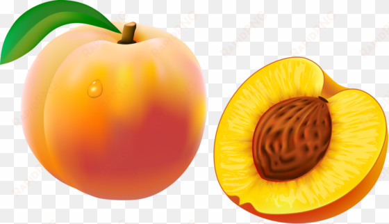 Яндекс - Фотки - peach fruit cartoon