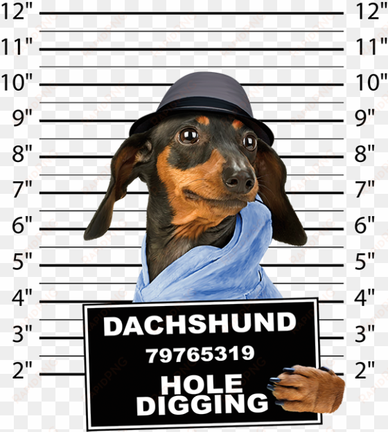 dachshund mug shot crew sweatshirt pick your size