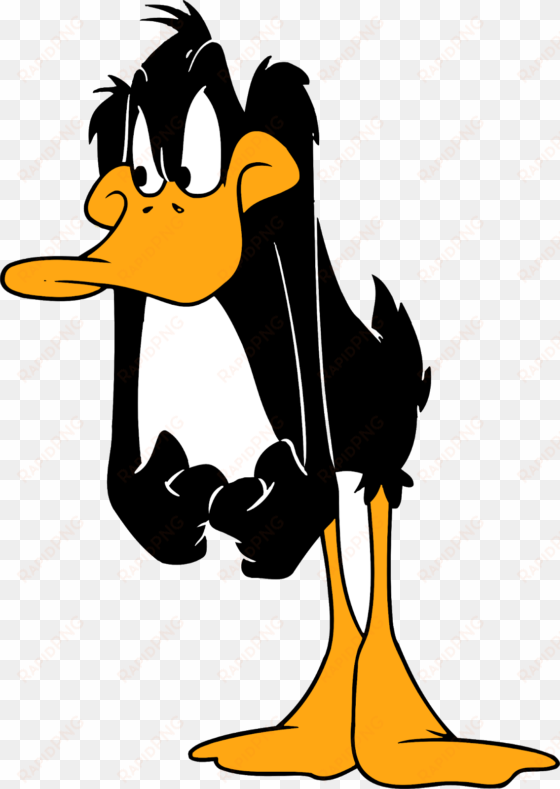 daffy duck cartoon character, daffy duck characters, - looney tunes daffy duck