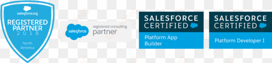 daizylogik partner and certification logos - salesforce platform developer 1 logo