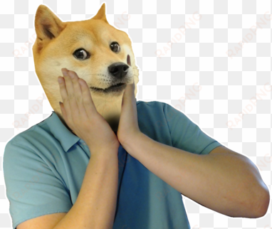 dancing doge png - doge png