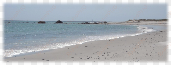 daniels head beach - hawk beach cape sable island