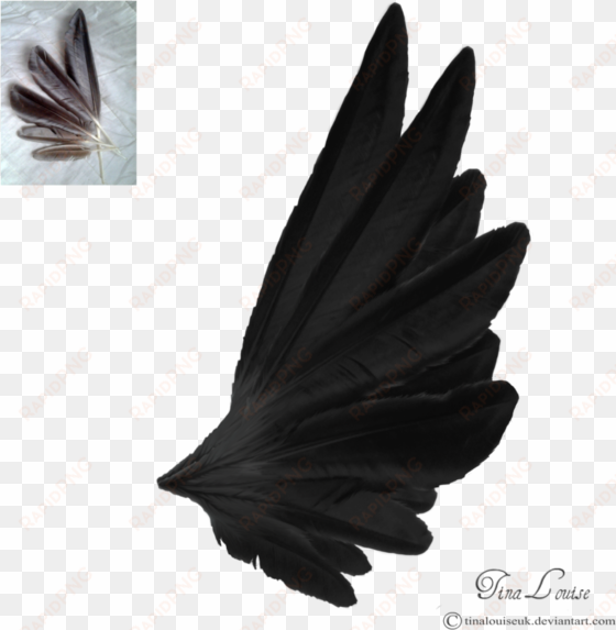 dark angel wings by tinalouiseuk on deviantart - angel wings side view black