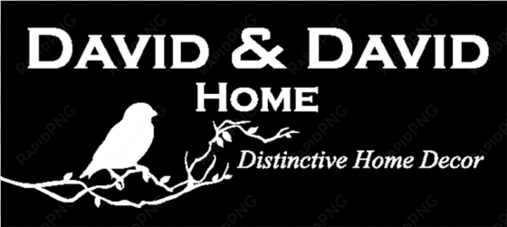 david & david home logo - virtual reality