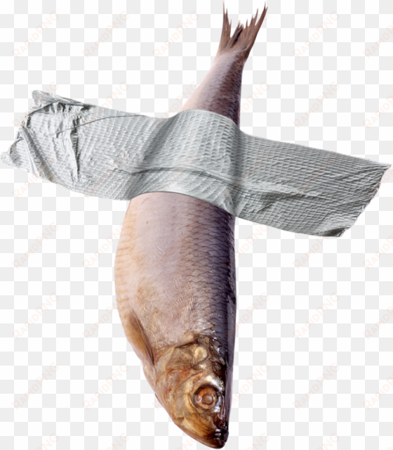 dead fish - strip of duct tape