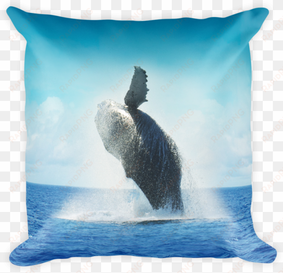 decorative throw pillow / california humpback whale - whales pocket monthly planner 2017 16 month calendar