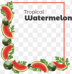 decorative watermelon frame, decorative, frame, watermelon - portable network graphics