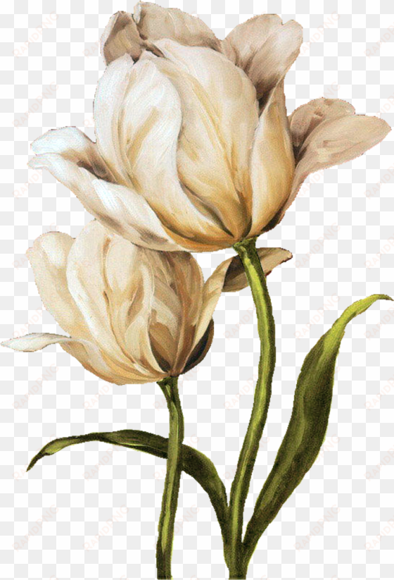 decoupage flower, flower painting, flower painting - tulip waltz ii canvas wall art, multicolor, 24x36