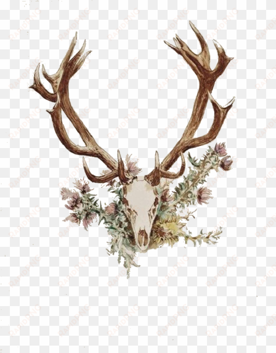 deer antler png - antlers and flowers tattoo