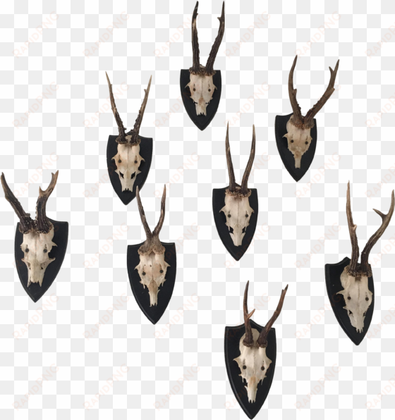 deer antler png graphic black and white - deer