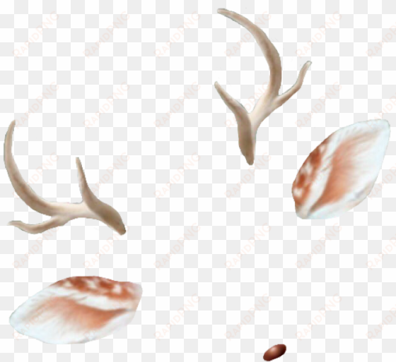 deer antlers ears doe deerantlers snapchat filter filte - deer snapchat filter png