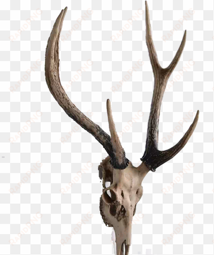 deer head decor - three hands resin deer head wall decor