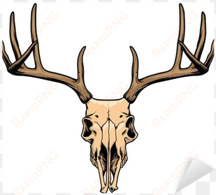 Deer Skull Drawing transparent png image