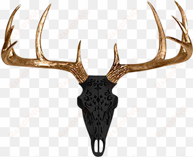 deer skull png clip download - elk