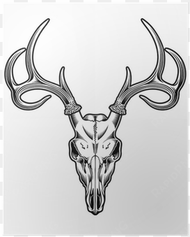 deer skull png for kids - drawing of a deer skull