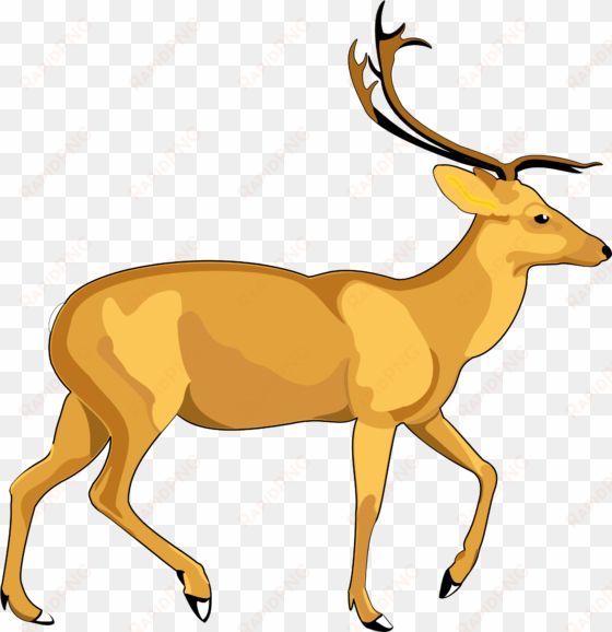 deer vector png