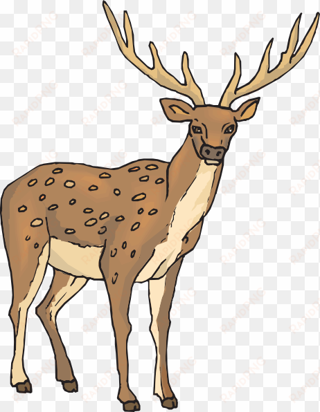 deer with large antlers svg clip arts 462 x 596 px