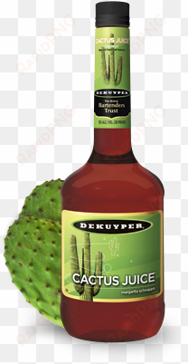 dekuyper® cactus juice® schnapps liqueur - dekuyper cactus juice
