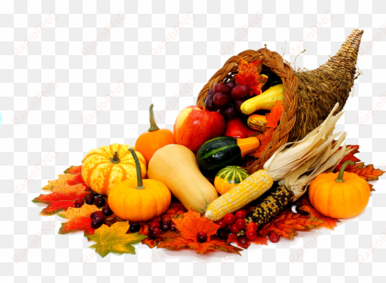 delicious way cornucopia png - cuerno de la abundancia png