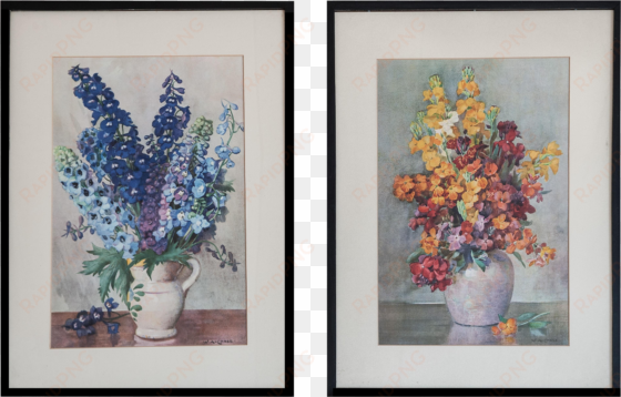 delphinium drawing painting