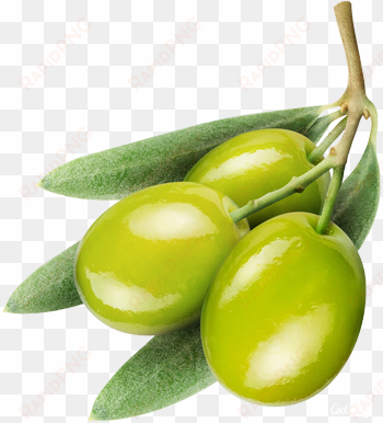 deluxe alpha background olive png png image with transparent - olives .png