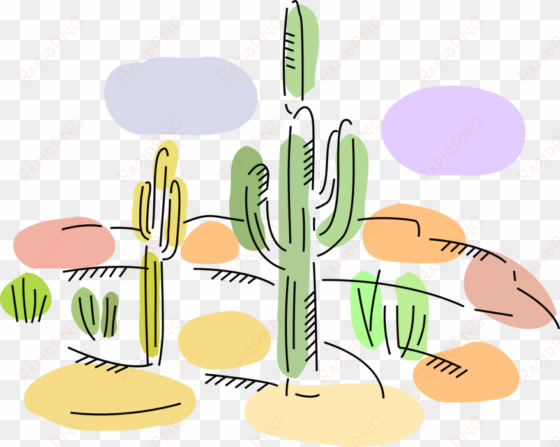 desert cactus plant in sonoran desert - desert