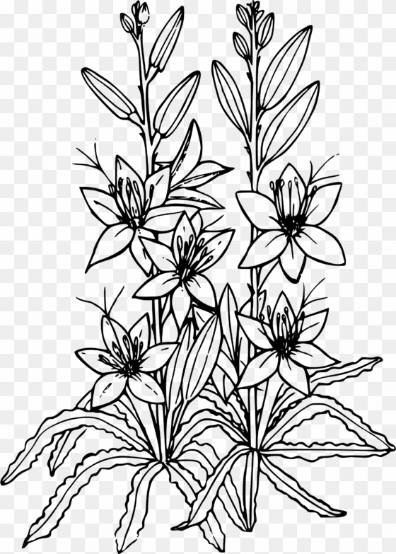 desert lily icons png - black and white lilies clipart