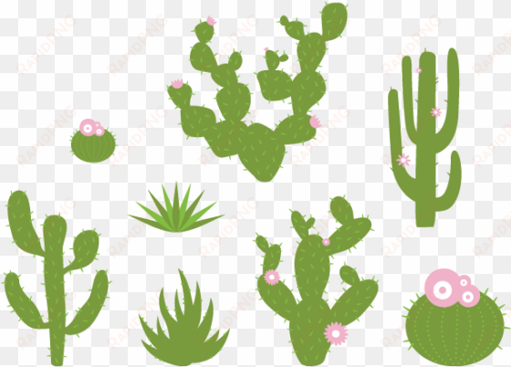 desert plant wall stickers - wall decal