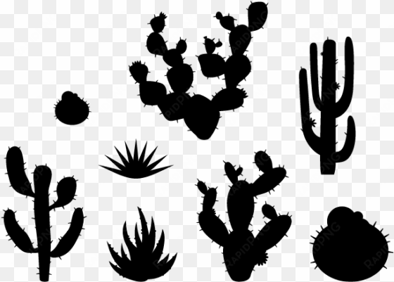 Desert Plants Wall Decals Weedecor Graphic Freeuse - Cactus transparent png image