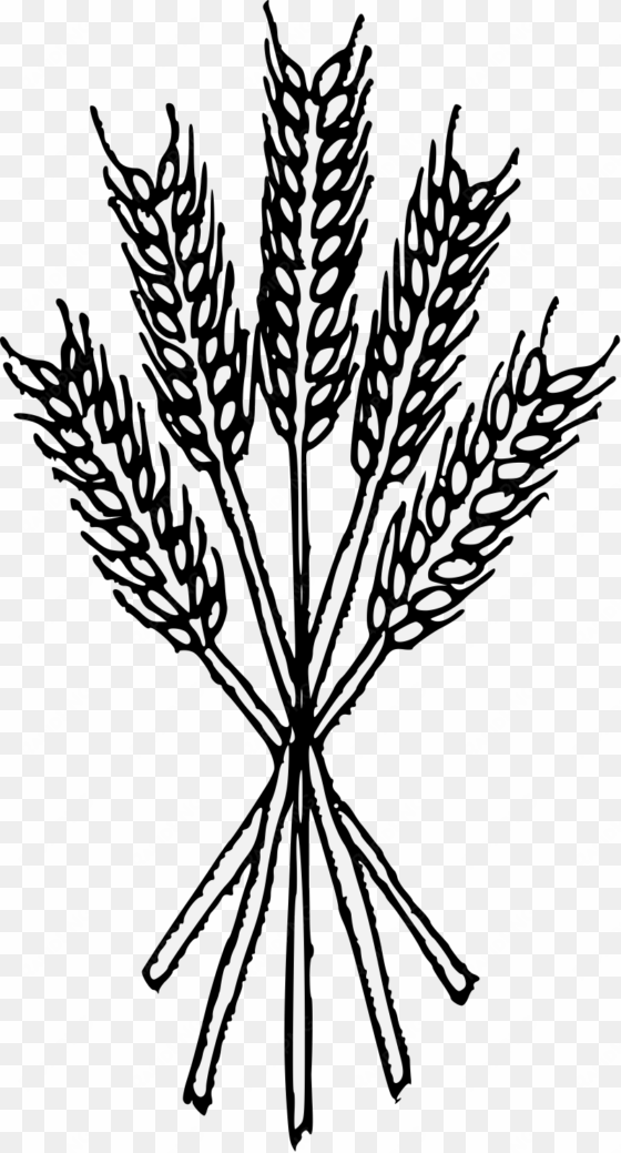 details, png - wheat heraldry