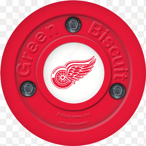 detroit red wings