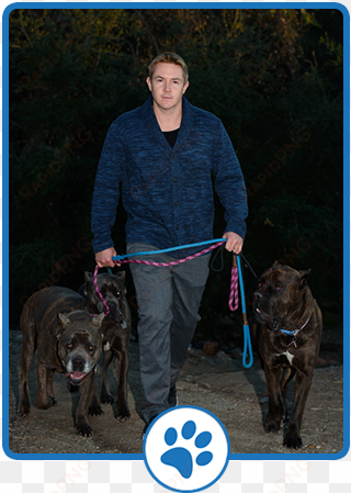 devotion to dogs ben davidson aka “the dog translator” - alpine community network