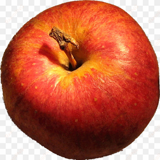 dg apple - apple png file