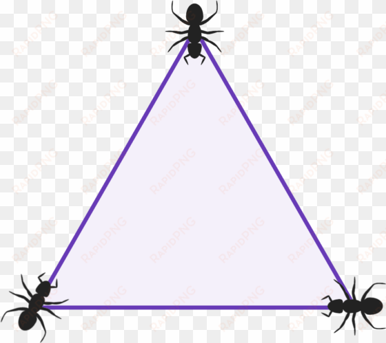 diagram of a triangle with 3 ants sat one at each vertex - triangle