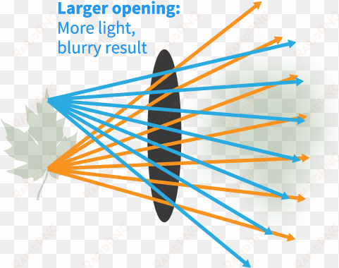 diagram of opening in the human eye - graphic design